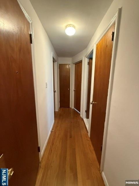 11 Canterbury - Photo 9