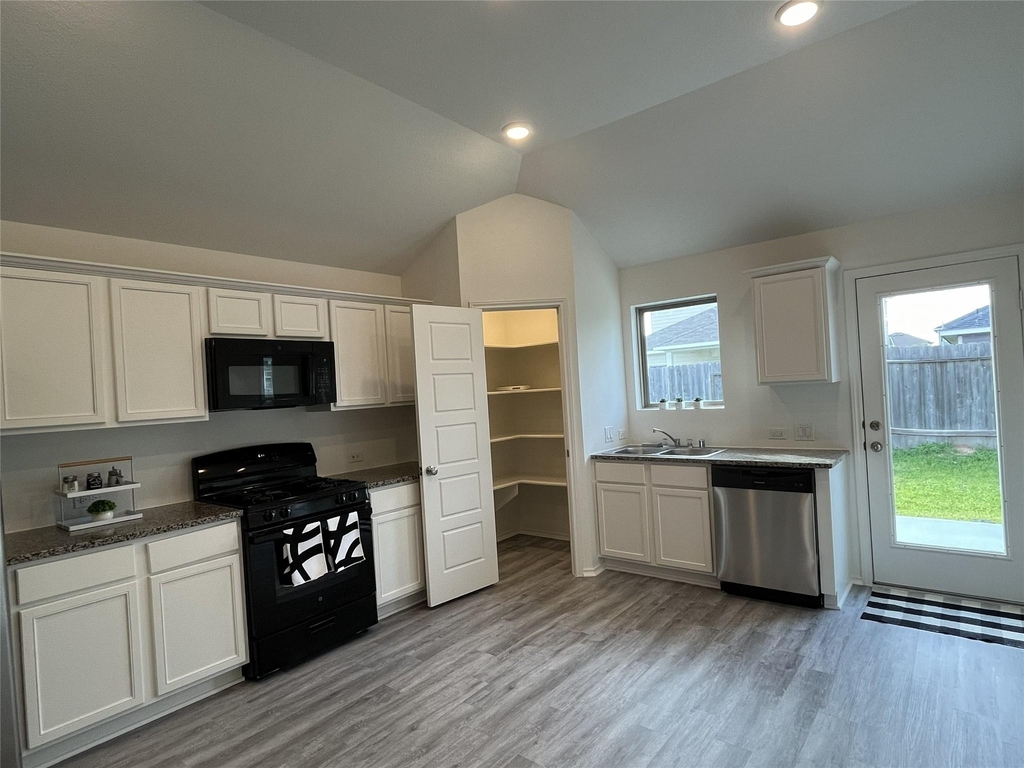 21618 Lemon Beebrush Lane - Photo 19
