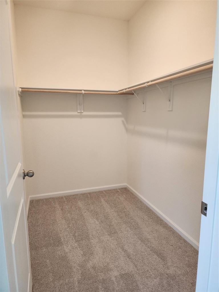 31306 Gayle Prairie Oaks Street - Photo 9