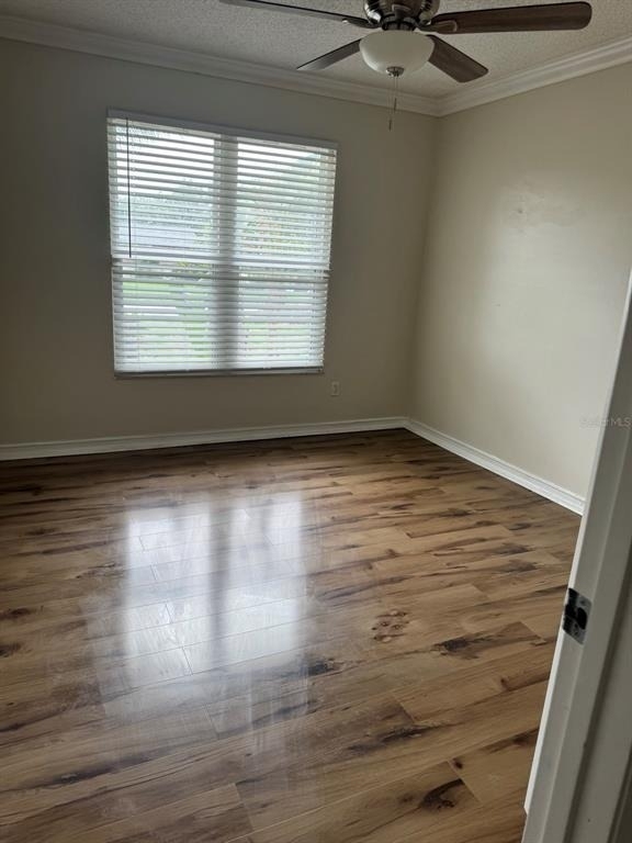 3306 Lake Saxon Drive - Photo 3