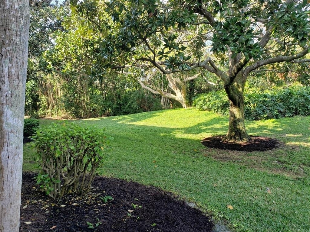 549 Lakeside Drive - Photo 20
