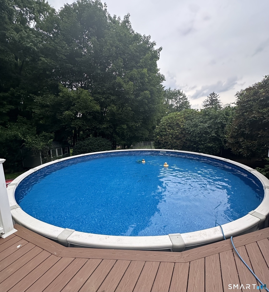 54 Randall Drive - Photo 6