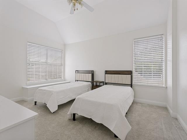 729 Driftwood Drive - Photo 21