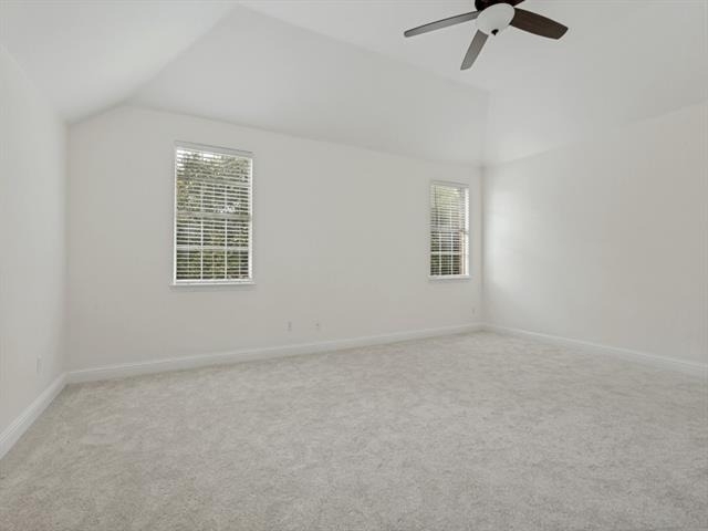 729 Driftwood Drive - Photo 16