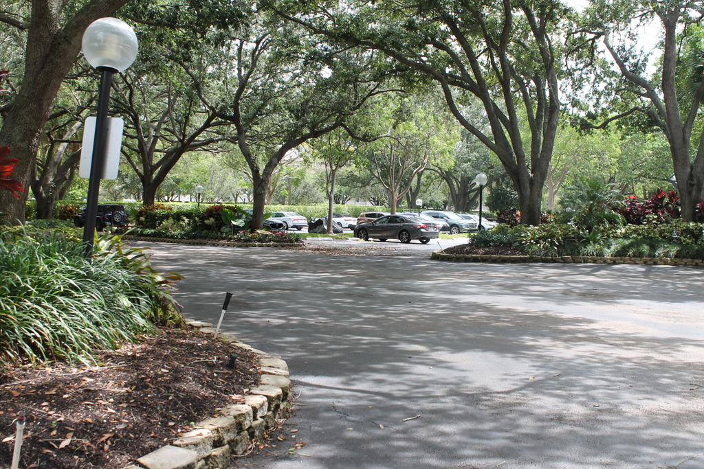 3520 Oaks Way - Photo 2