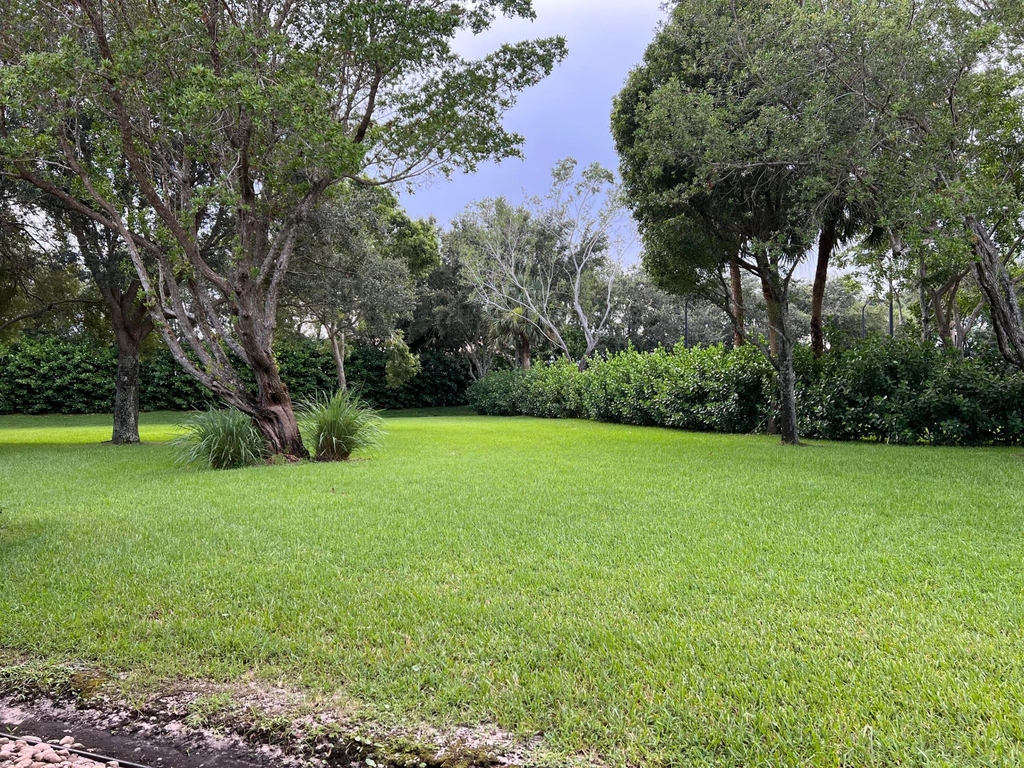 9774 Isles Cay Drive - Photo 3