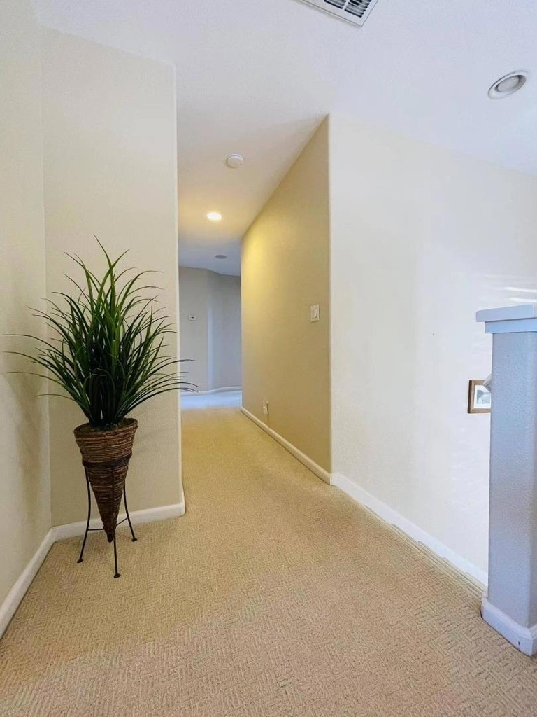34117 Songbird Terrace - Photo 10