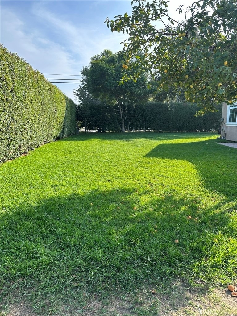 2609 Central - Photo 6