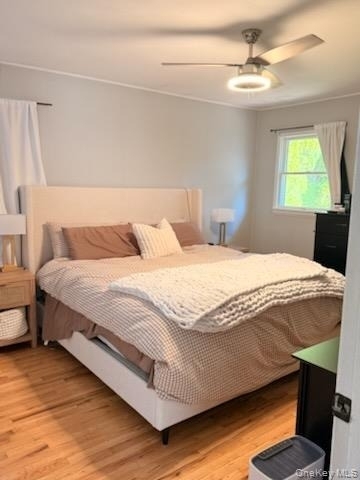 43 Titmus Drive - Photo 7