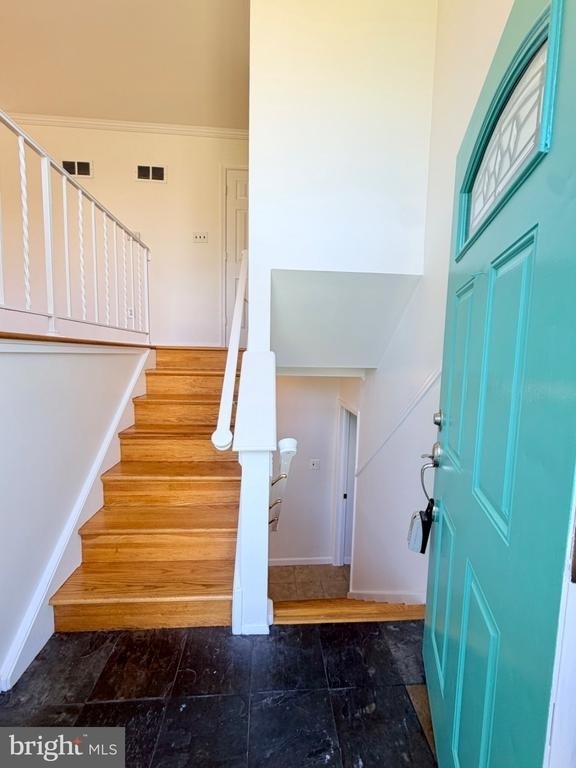 7111 Norwalk Street - Photo 6