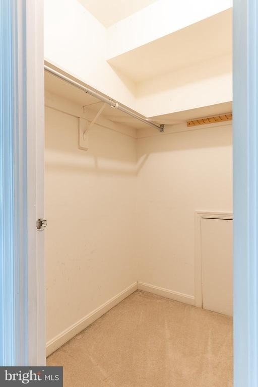 8020 Bethelen Woods Lane - Photo 33