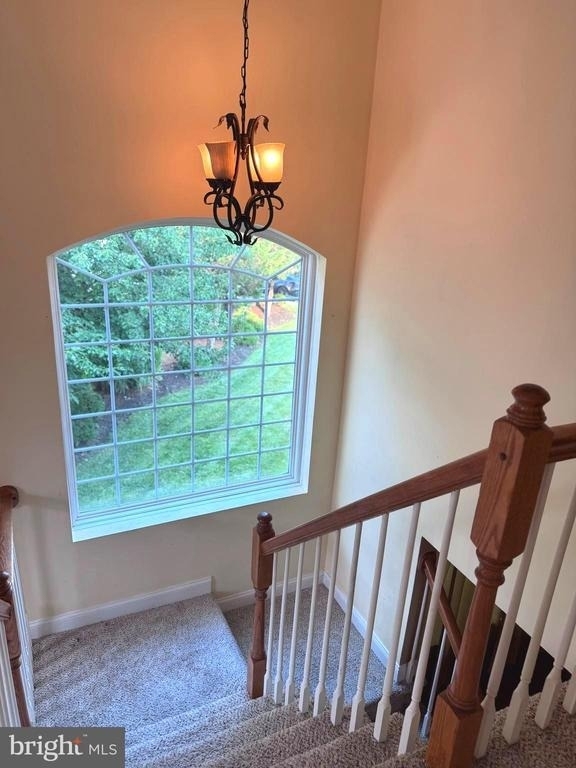 20 Carter Lane - Photo 8