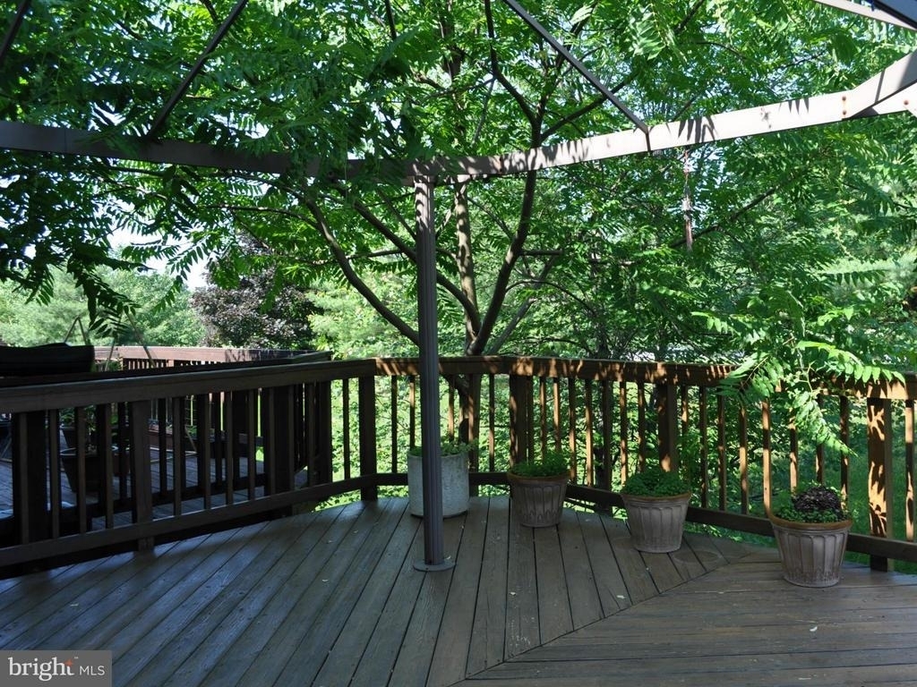 6209 Deep River Canyon - Photo 1