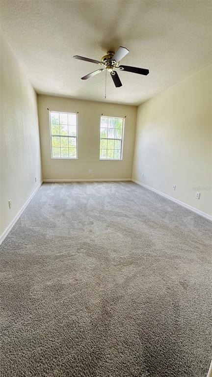 2939 Willowleaf Lane - Photo 12