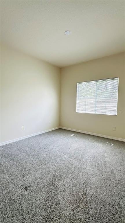2939 Willowleaf Lane - Photo 15