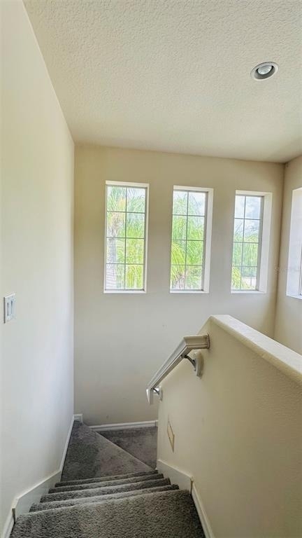 2939 Willowleaf Lane - Photo 10