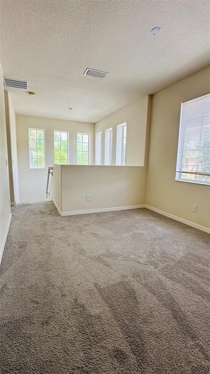 2939 Willowleaf Lane - Photo 11