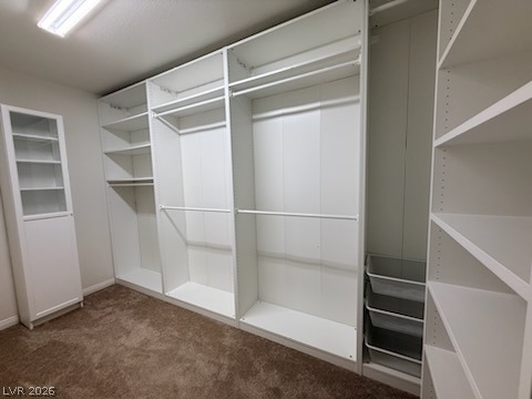 9121 Teal Lake Court - Photo 19