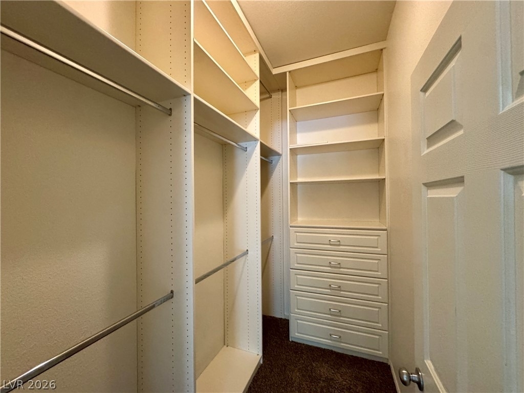 3350 Cactus Shadow Street - Photo 9