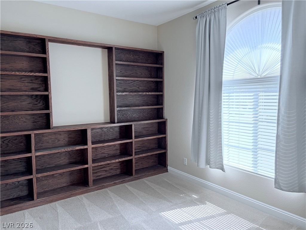 10303 Koala Forest Street - Photo 8
