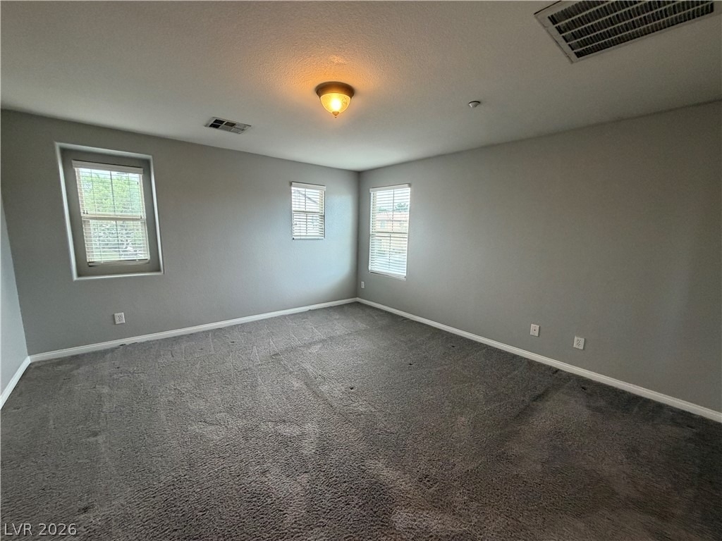 2021 Brush Stroke Street - Photo 13