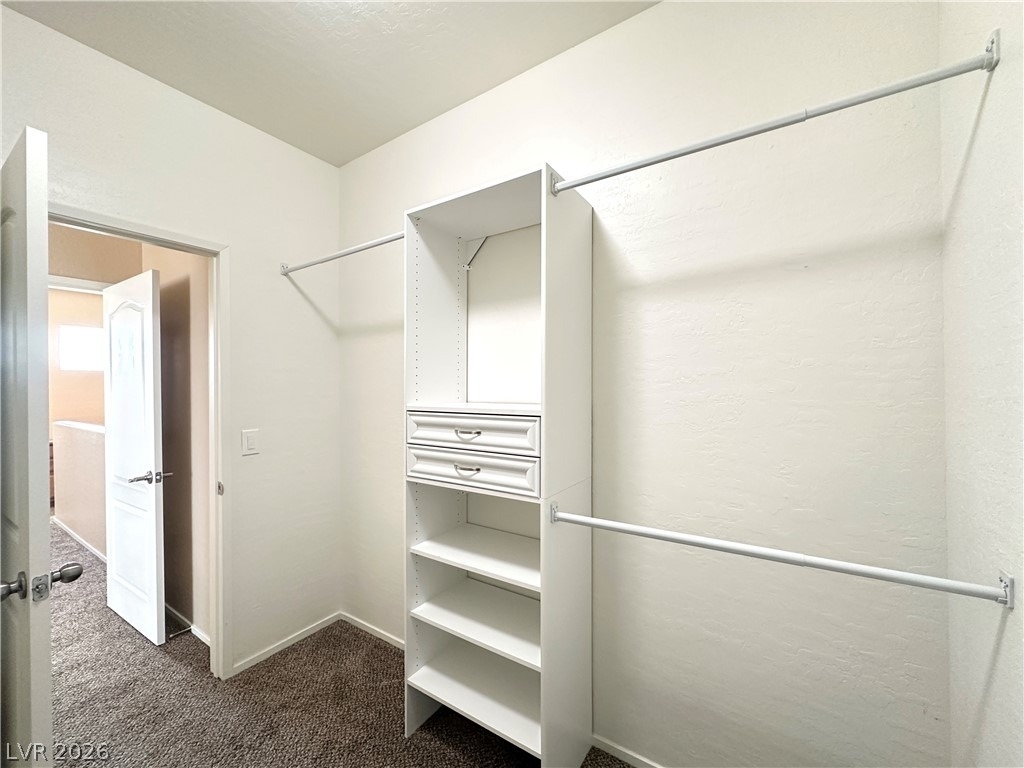 10596 La Campana Street - Photo 10