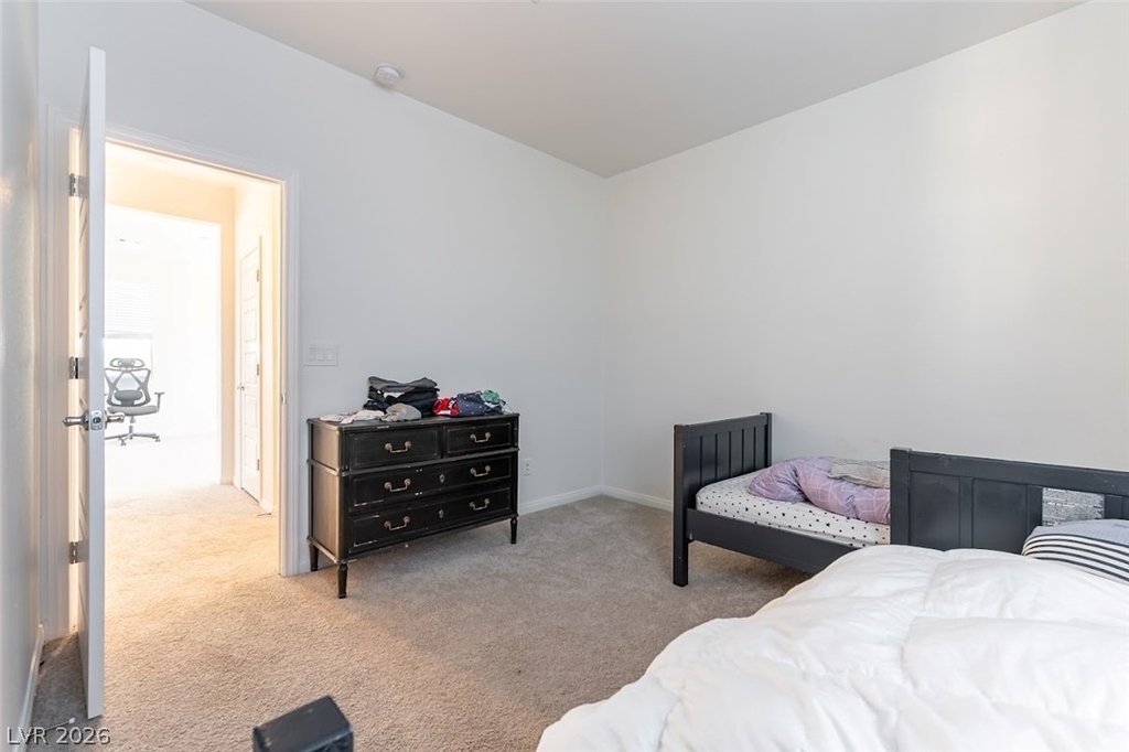 238 Badwater Basin Street - Photo 16