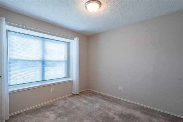 1526 Haven Place - Photo 19