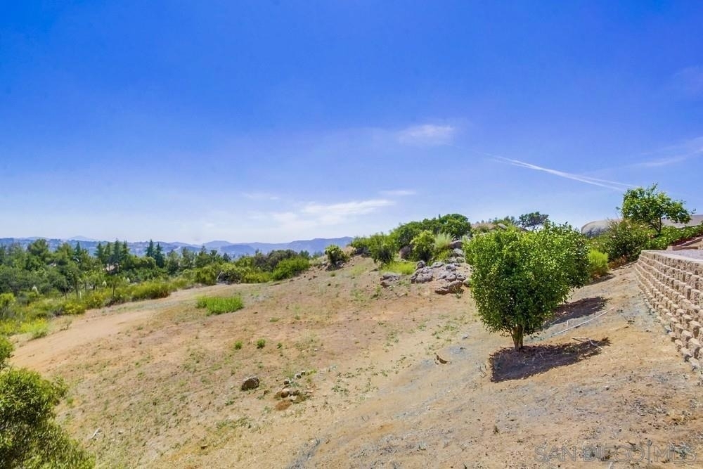 2703 Lobelia - Photo 63