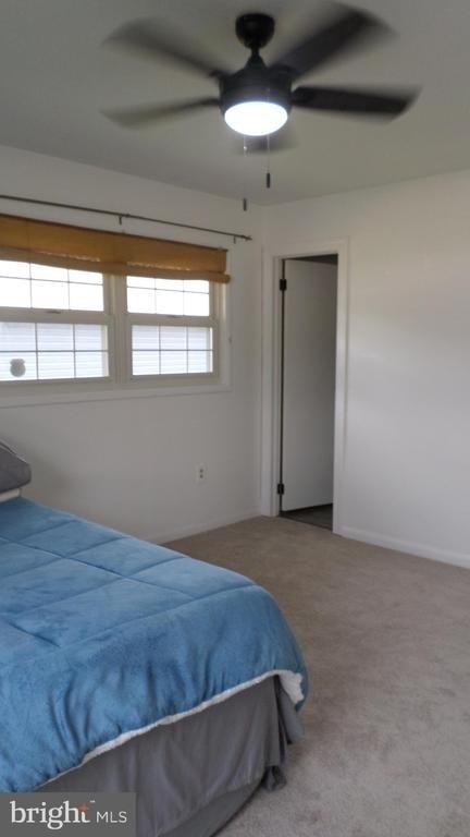 16 Alma Lane - Photo 12