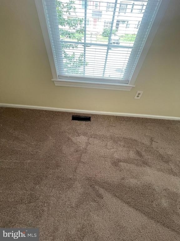 405 Windsor Ridge Court - Photo 23