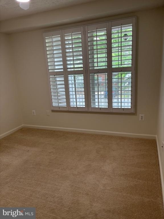 25905 Ridge Manor Drive - Photo 4