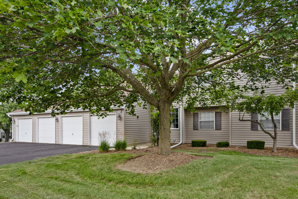 546 E Shag Bark Lane - Photo 0