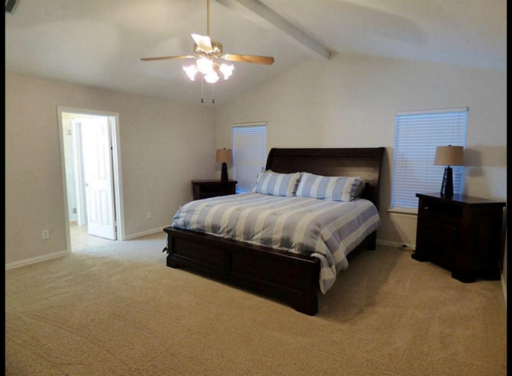 3630 Purple Meadow Lane - Photo 13