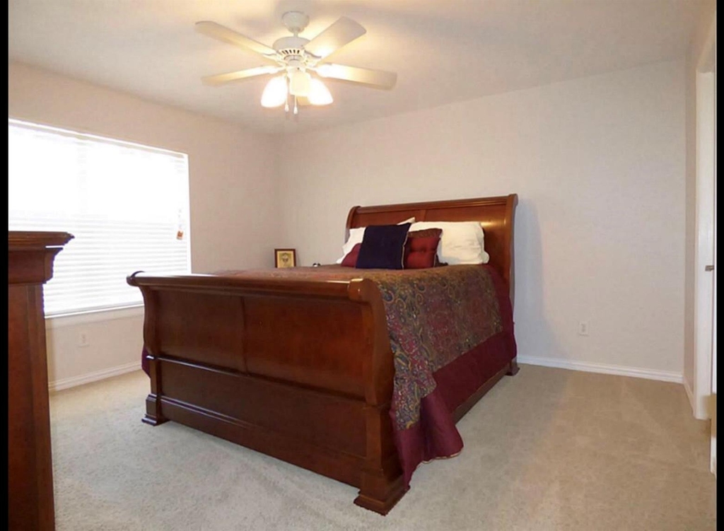 3630 Purple Meadow Lane - Photo 20