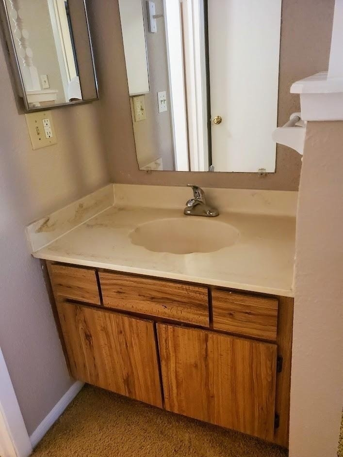 250 El Dorado - Photo 4