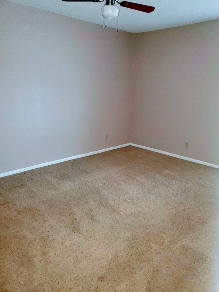 250 El Dorado - Photo 3
