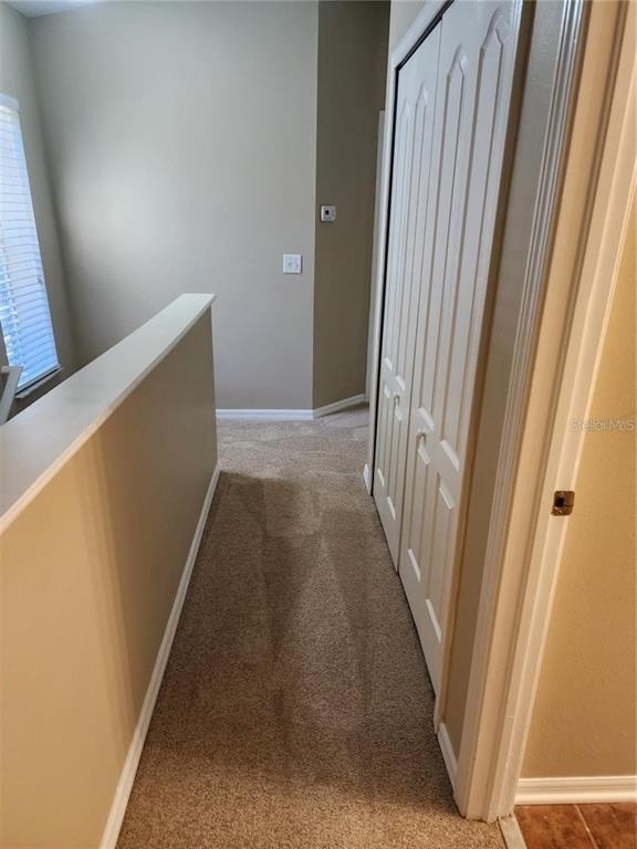 15924 Fishhawk Creek Lane - Photo 17