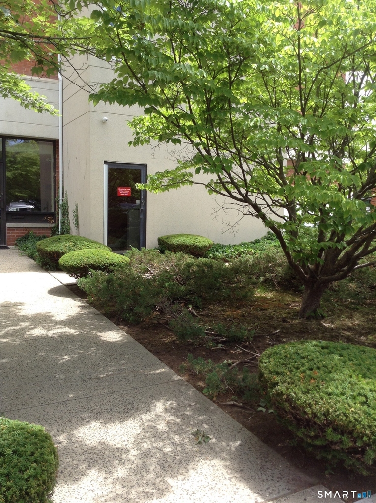 1220 Whitney Avenue - Photo 19