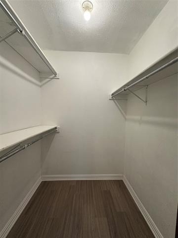 3138 Tres Logos Lane - Photo 21