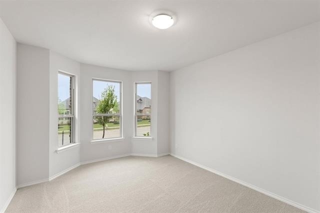 344 Dairy Way - Photo 4