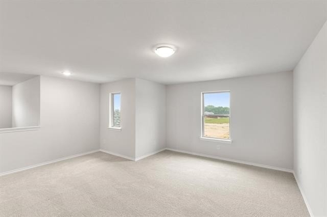 344 Dairy Way - Photo 10