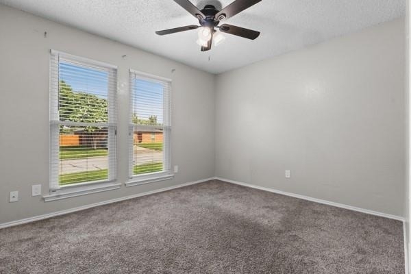 6613 Constitution Drive - Photo 19