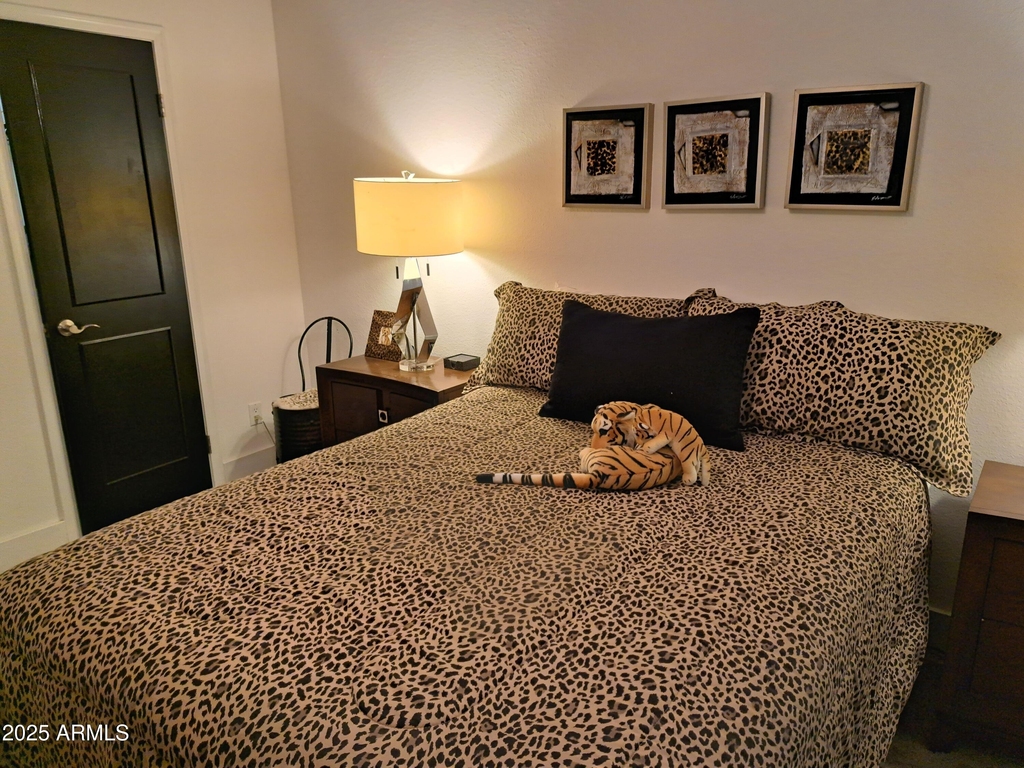 7350 N Via Paseo Del Sur -- - Photo 14