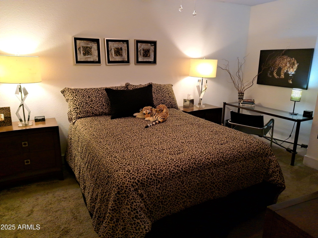 7350 N Via Paseo Del Sur -- - Photo 13