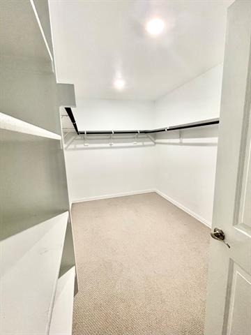 2624 Wellington Lane - Photo 6