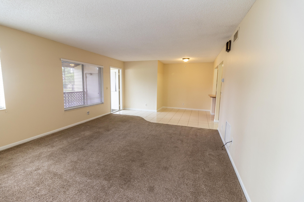 4987 Sable Pine Circle - Photo 9