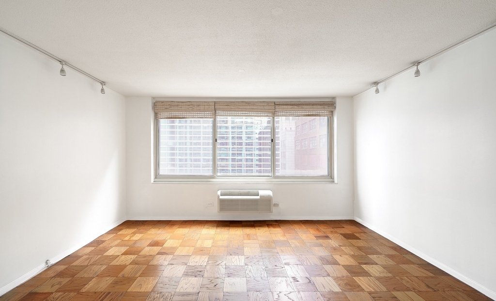 333 E 45th Street - Photo 1