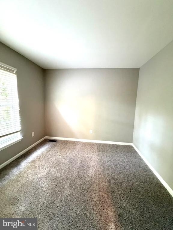 43416 Sperrin Court - Photo 11