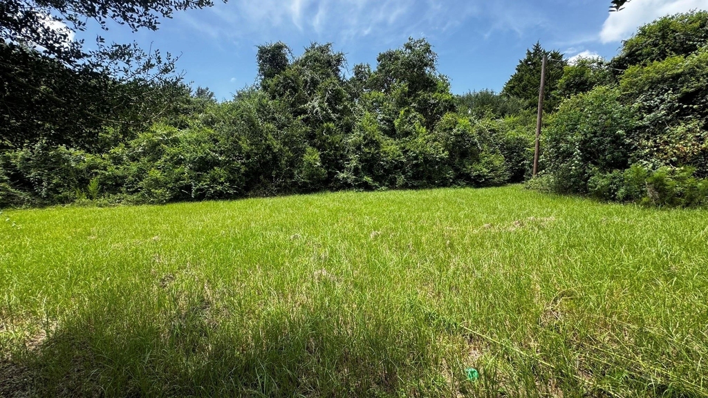 30827 Burton Cemetery Road - Photo 14